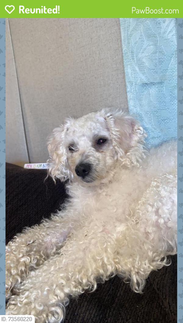 Reunited Male Dog last seen Valley View Hwy, Sequatchie, TN 37374