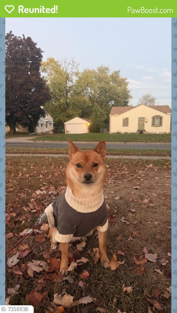 Reunited Female Dog last seen Near Logan ave n, Minneapolis, MN 55430