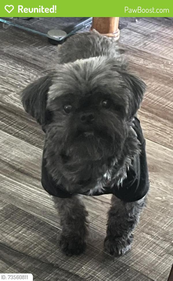 Reunited Male Dog last seen Palm Springs, Ronald Reagan, Longwood, FL 32750