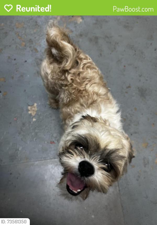 Reunited Male Dog last seen Locke Ave and Belle, Fort Worth, TX 76107