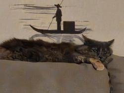 Lost Female Cat last seen Near Alamendras St, Maricopa, AZ 85139