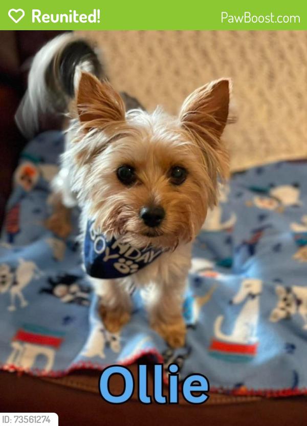 Reunited Male Dog last seen Sherrouse Road × Rockridge lakeland fl, Polk County, FL 33810