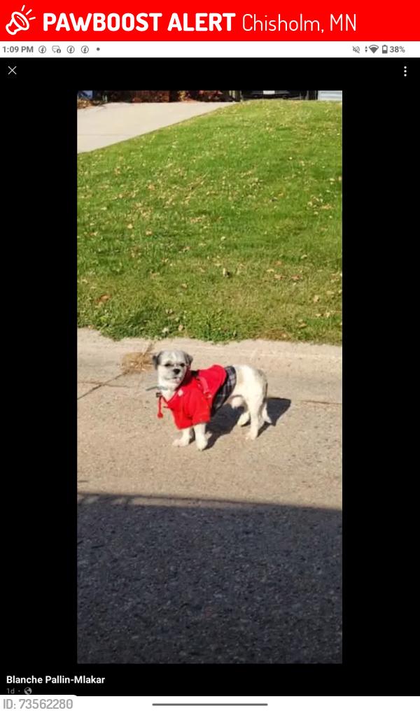 Lost Male Dog last seen He ran from Southwest towards Northwest, Chisholm, MN 55719