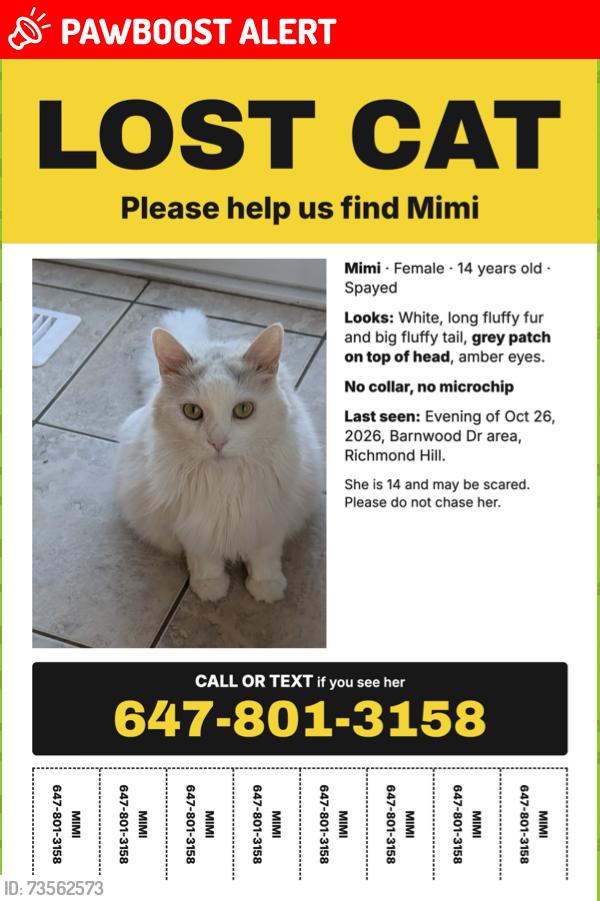 Lost Female Cat last seen Bayview Ave & Old Colony Rd, Oak Ridges / Lake Wilcox, Richmond Hill, ON L4E 5A3