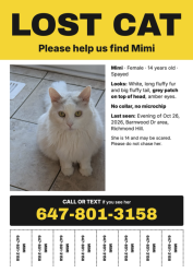 Lost Female Cat last seen Bayview Ave & Old Colony Rd, Oak Ridges / Lake Wilcox, Richmond Hill, ON L4E 5A3