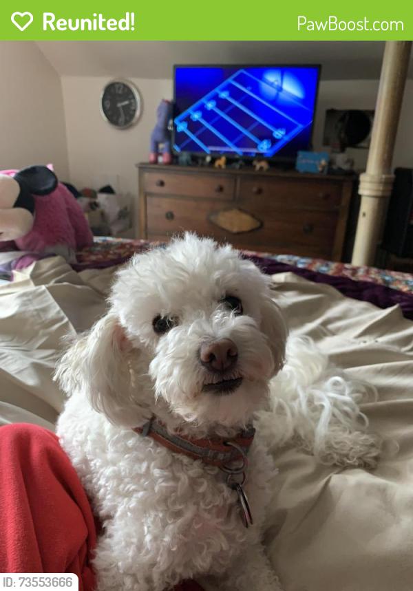Reunited Female Dog last seen Country club and marine, Stockton, CA 95204