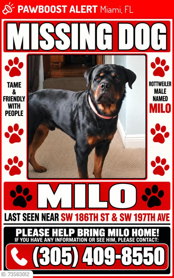 Lost Male Dog last seen SW 186th st and SW 197th Ave, Miami, FL 33187