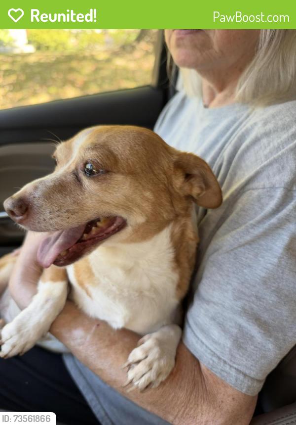 Reunited Unknown Dog last seen Woodview Drive, Greensboro, NC 27408