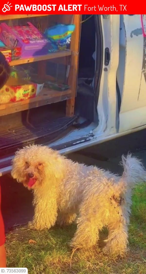 Lost Male Dog last seen Vickery, Fort Worth, TX 76104