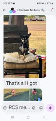 Lost Female Dog last seen 119th and Harrah newalla, McLoud, OK 74851