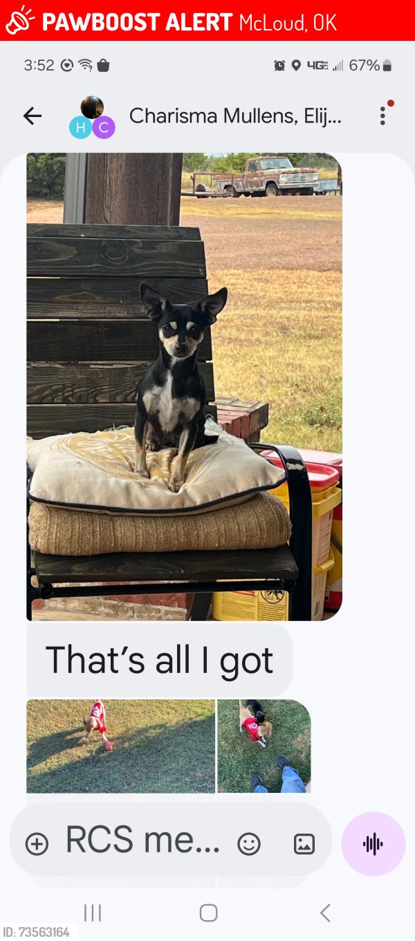 Lost Female Dog last seen 119th and Harrah newalla, McLoud, OK 74851