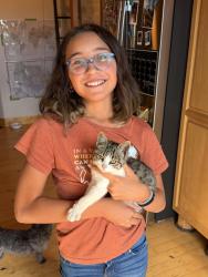 Found/Stray Unknown Cat last seen Near E Lake Creek Road, Heber City, UT 84032