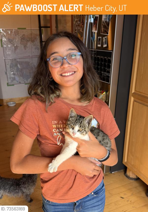 Found/Stray Unknown Cat last seen Near E Lake Creek Road, Heber City, UT 84032
