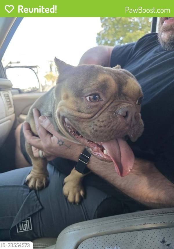 Reunited Unknown Dog last seen Between Spartanburg Community College and Pet Dairy, Spartanburg, SC 29301