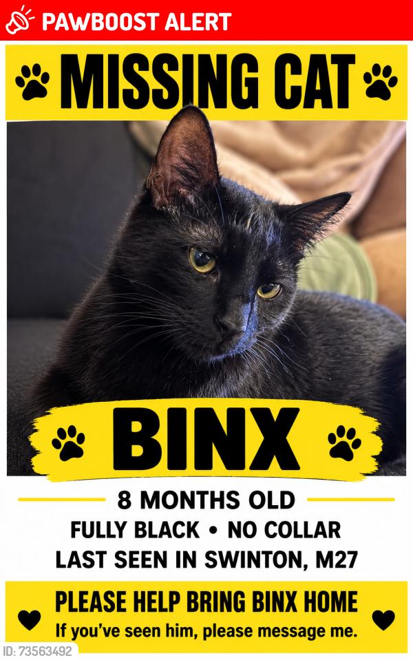 Lost Male Cat last seen Charles Street, Swinton, England M27 9UG