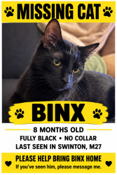 Lost Male Cat last seen Charles Street, Swinton, England M27 9UG