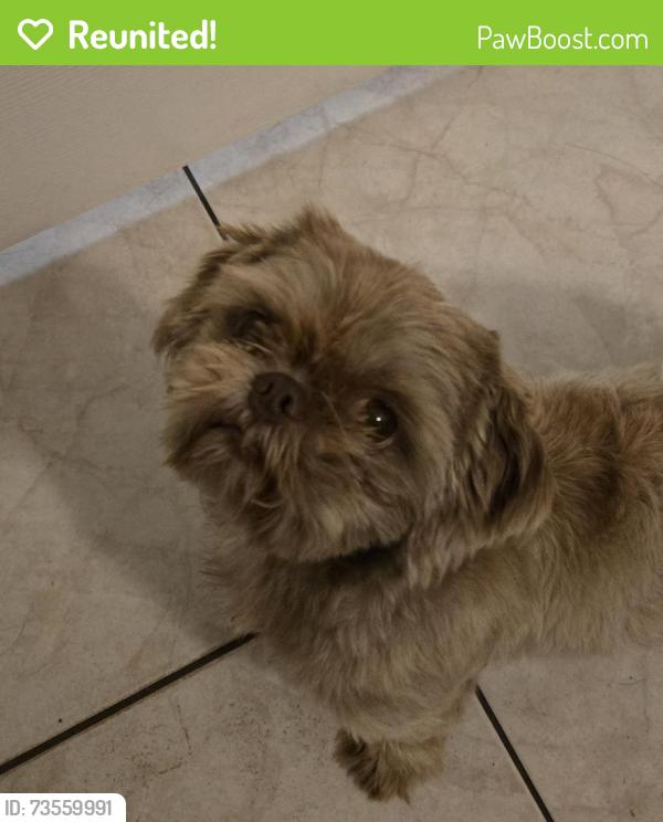Reunited Unknown Dog last seen Near Goldenrod Rd, Orlando, FL 32822