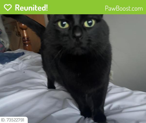 Reunited Female Cat last seen Kingsbury/ Laurel bay by train tracks, Winnipeg, MB R2V 2V7