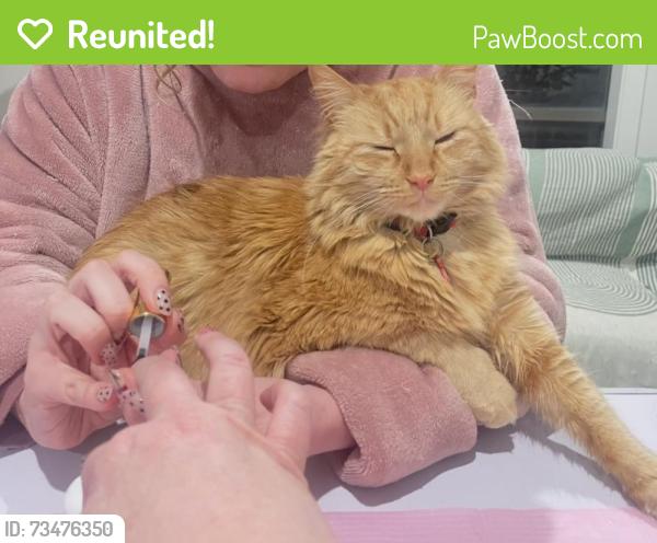 Reunited Male Cat last seen Jubilee road Clyde, Clyde, VIC 3978