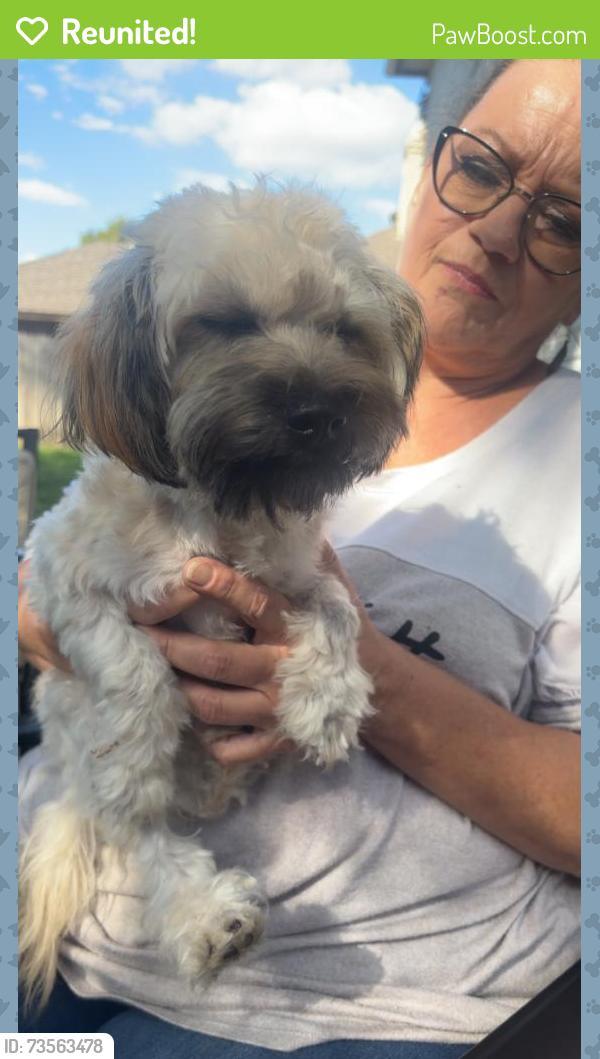 Reunited Female Dog last seen Glen knoll dr and Cromwell marine creek, Fort Worth, TX 76179