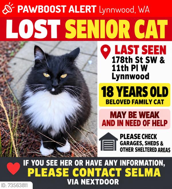 Lost Female Cat last seen 178th St SW & 11th Pl W, Lynnwood, WA 98037