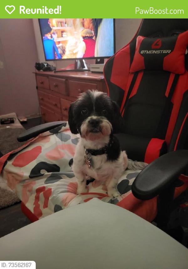 Reunited Female Dog last seen Sublett and Bowen, Arlington, TX 76017