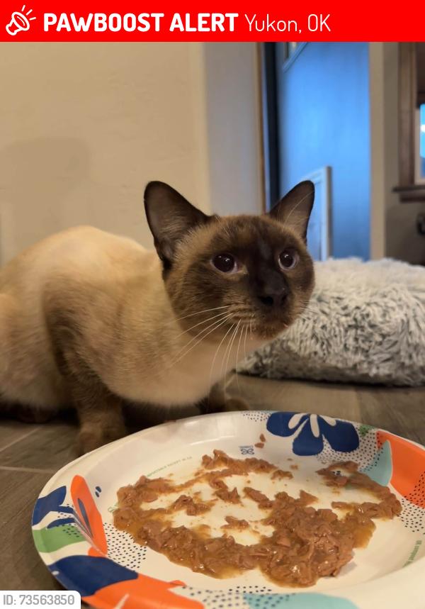 Lost Male Cat last seen Near Kilpatrick Turnpike & Wilshire, Yukon, OK 73099