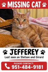 Reunited Male Cat last seen Near Stetson Ave, Hemet, CA 92544, USA, Hemet, CA 92544