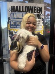Reunited Male Dog last seen Pollo campero, Marietta, GA 30008