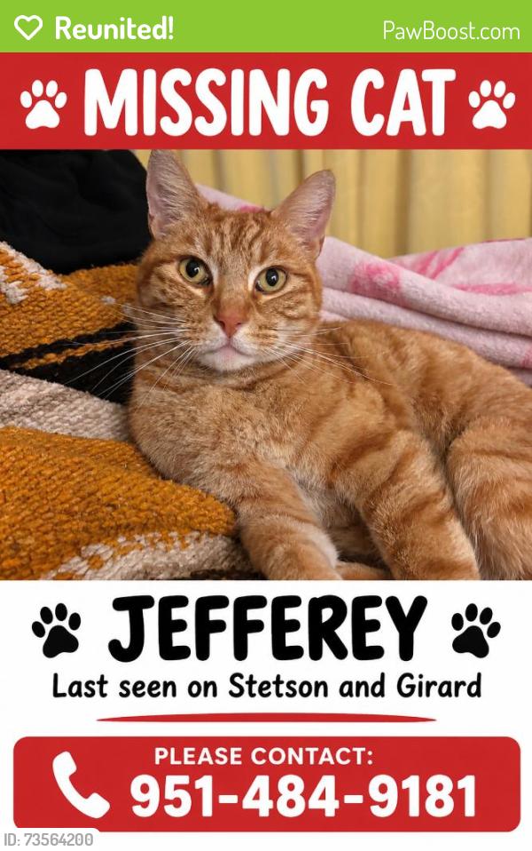 Reunited Male Cat last seen Near Stetson Ave, Hemet, CA 92544, USA, Hemet, CA 92544