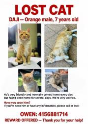 Reunited Male Cat last seen Near Harbor Way, South San Francisco, CA 94080