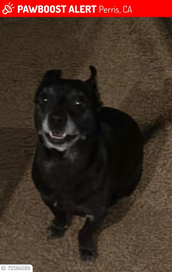 Lost Male Dog last seen Elis, Perris, CA 92570