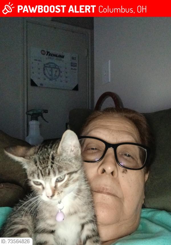 Lost Male Cat last seen Mathis, Columbus, OH 43215