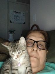 Lost Male Cat last seen Mathis, Columbus, OH 43215