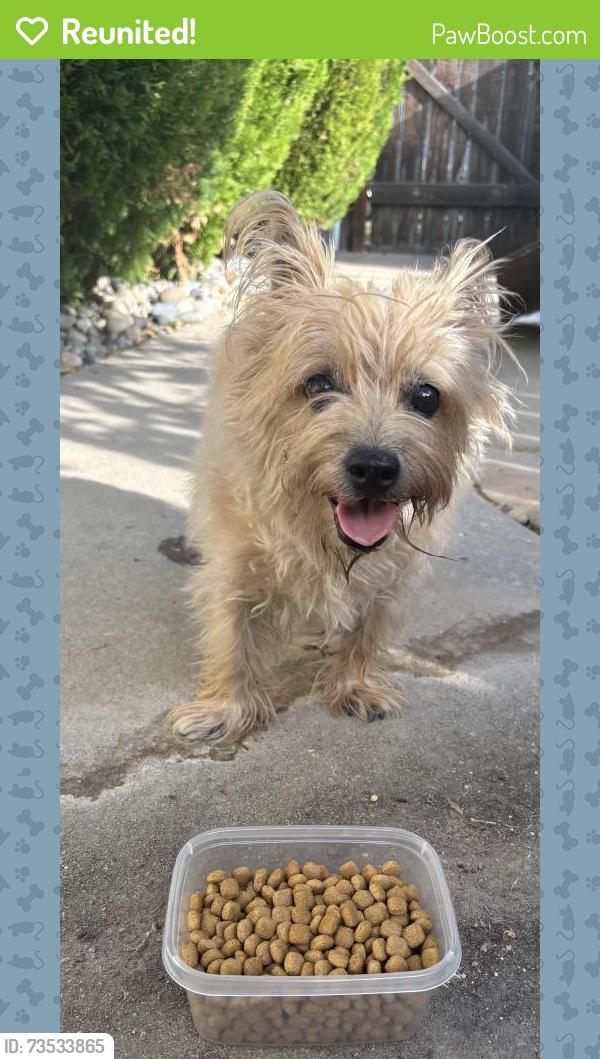 Reunited Female Dog last seen Woodward Lake, Fresno, CA 93730