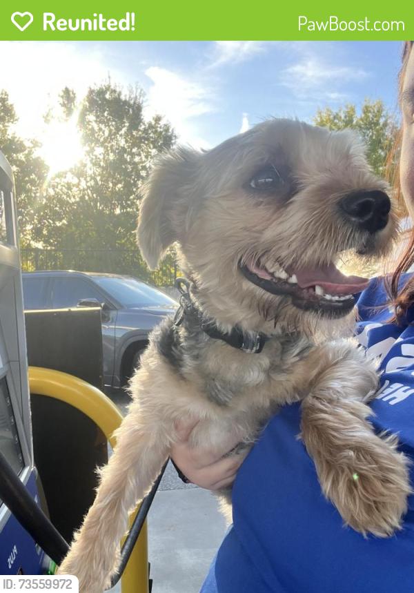 Reunited Male Dog last seen Near Garrison Grove, Simpsonville, SC 29680