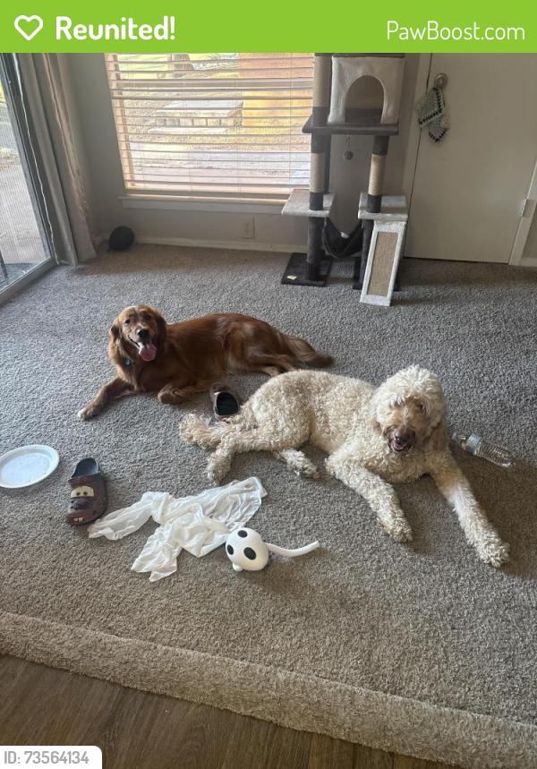 Reunited Unknown Dog last seen Westdale Hills Euless, Hurst, TX 76053