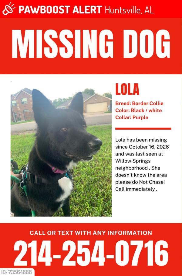 Lost Female Dog last seen Rideout, Huntsville, AL 35806