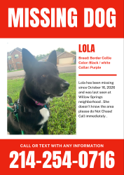 Lost Female Dog last seen Rideout, Huntsville, AL 35806