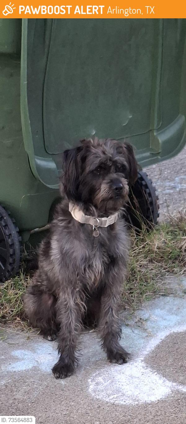 Found/Stray Male Dog last seen Near Cravens Park dr. and Silo rd., Arlington, TX 76018