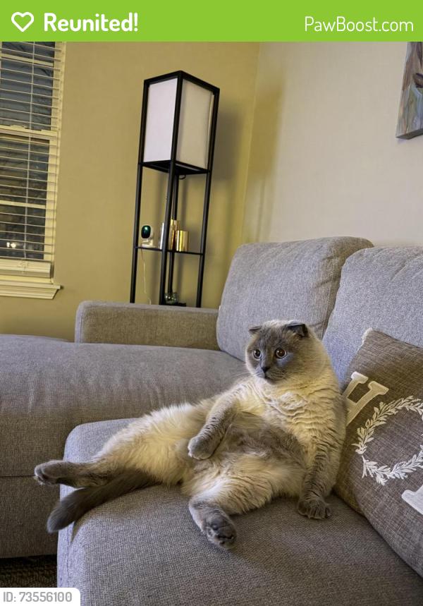 Reunited Male Cat last seen GymQuest, Plainfield, IL 60544