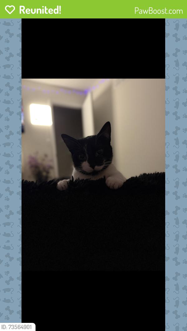 Reunited Female Cat last seen Near Claireborn Food Mart, Olathe, KS 66063