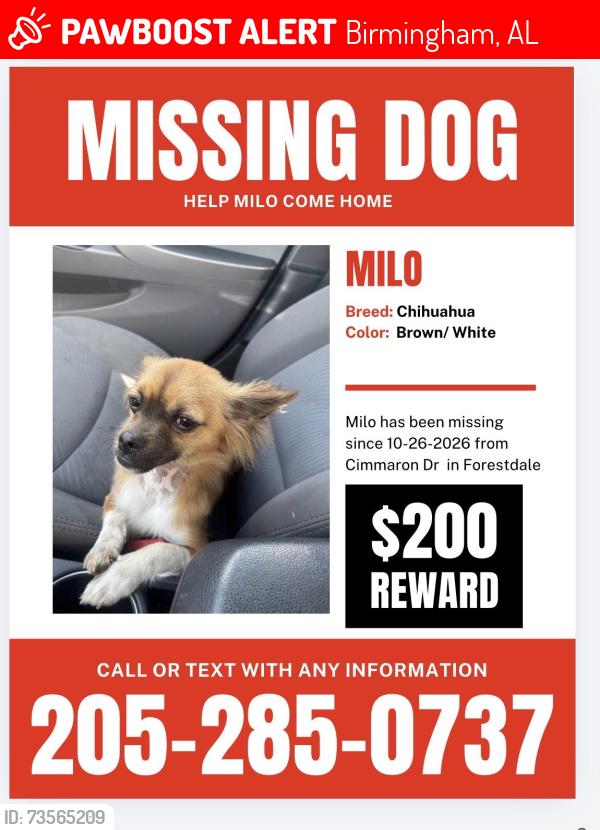 Lost Male Dog last seen Forestdale, Birmingham, AL 35214