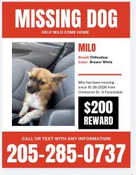 Lost Male Dog last seen Forestdale, Birmingham, AL 35214