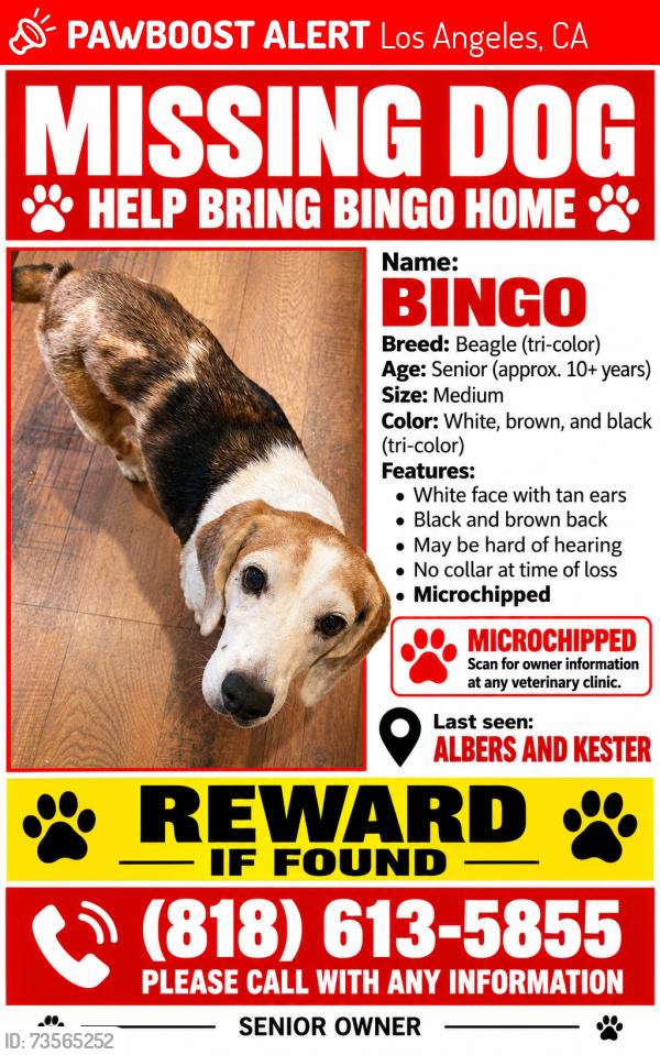 Lost Male Dog last seen Albers and kester, Los Angeles, CA 91411