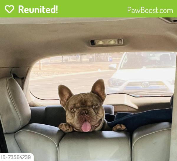 Reunited Male Dog last seen Carver, Modesto, CA 95355