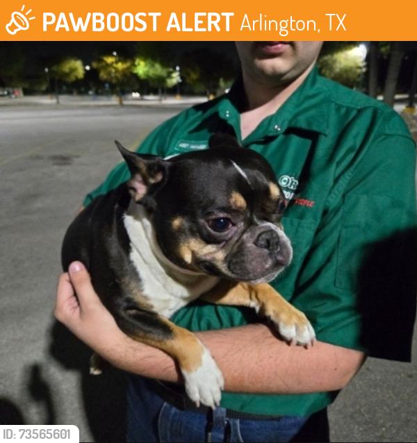 Found/Stray Unknown Dog last seen Near U.S. 287 Frontage Rd, Arlington, TX 76017, Arlington, TX 76017