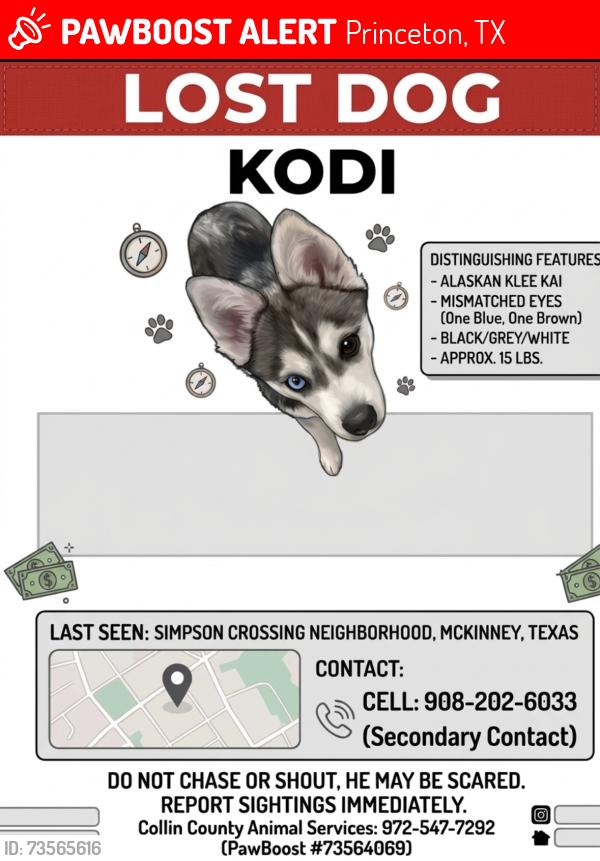 Lost Male Dog last seen Midnight oak drive, Princeton, TX 75407