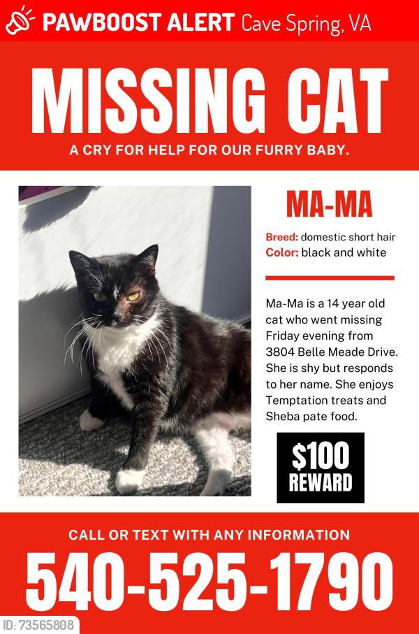 Lost Female Cat last seen Belle meade drive, Cave Spring, VA 24018