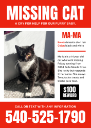 Lost Female Cat last seen Belle meade drive, Cave Spring, VA 24018